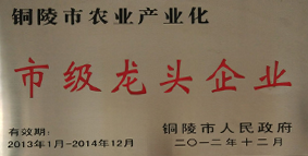 榮譽資質